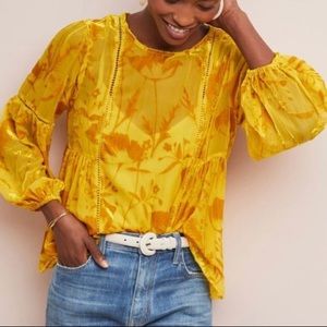New Meadow Rue Anthropologie Velvet Floral Blouse